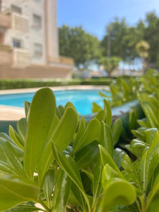 Relax Playa Gandia Apartment Playa de Gandia